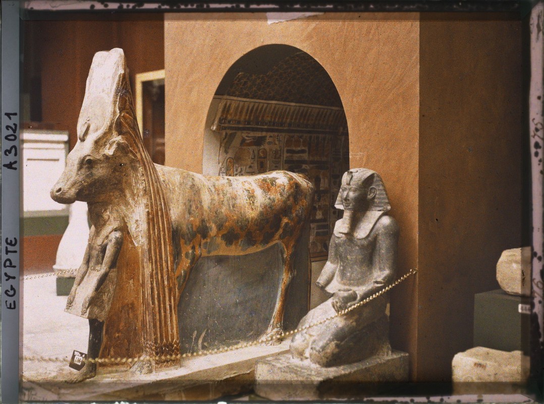 Loat co vat cuc quy trong bao tang Ai Cap o Cairo nam 1914 (2)-Hinh-13