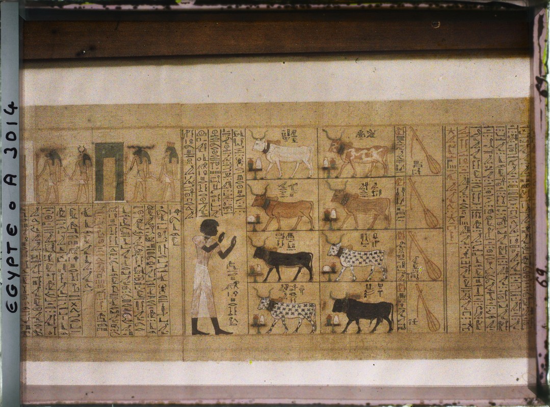 Loat co vat cuc quy trong bao tang Ai Cap o Cairo nam 1914 (2)-Hinh-8