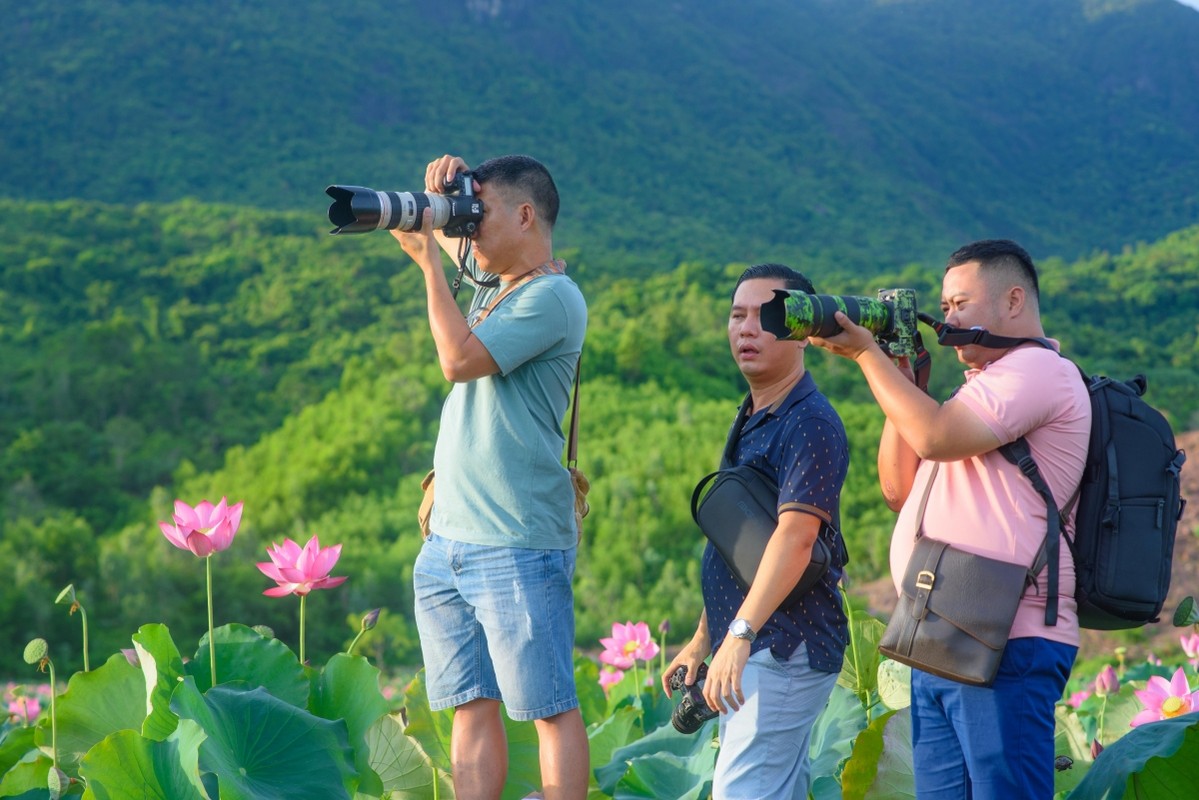 Ve dep lung linh cua dam sen Tra Ly, Duy Xuyen-Hinh-11