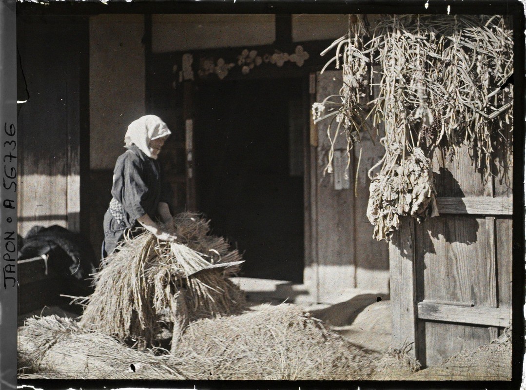 Anh mau cuc hiem dep nhu tranh ve ve ngoi lang gan Kyoto nam 1926-Hinh-6