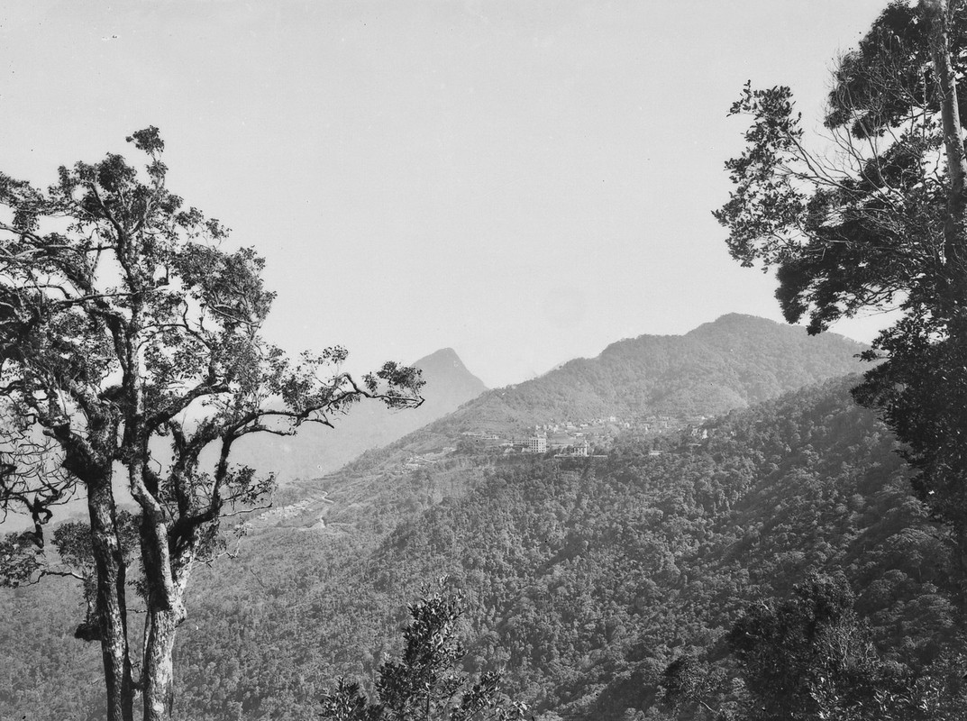 Loat anh vo gia ve khu nghi mat Tam Dao thap nien 1920-Hinh-13