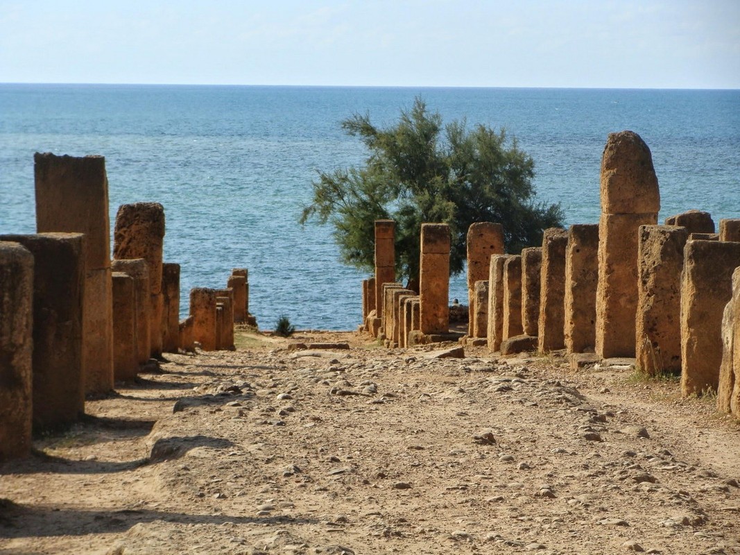 Dau an thoi hoang kim cua thanh pho co La Ma o Algeria-Hinh-7