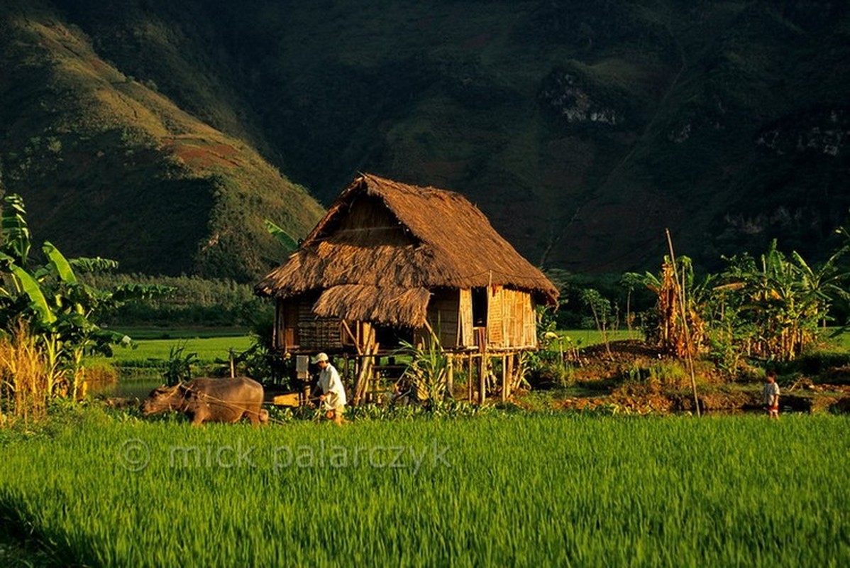 Anh dep hop hon ve phong canh Tay Bac hon mot thap nien truoc-Hinh-6