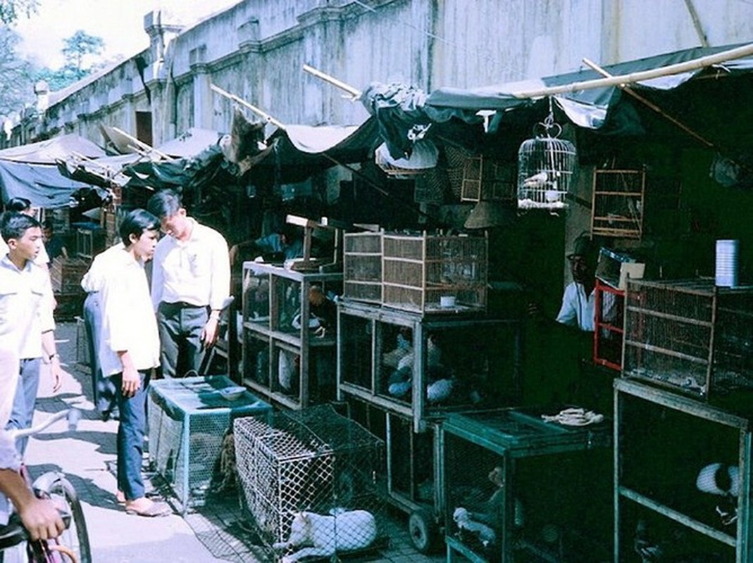 Loat anh mau doc dao ve doi thuong o Sai Gon nam 1967-Hinh-4