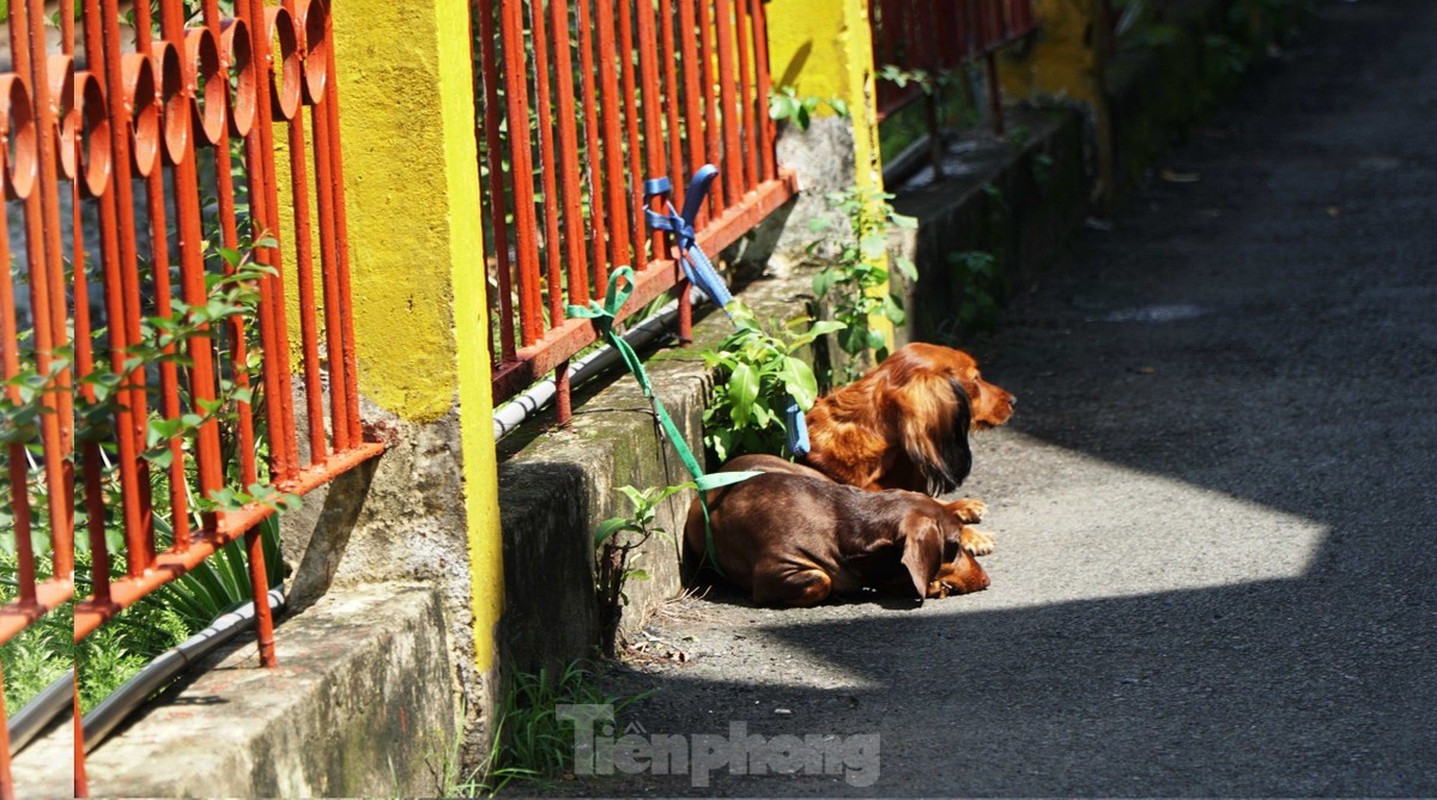 Can canh nguoi dan lan chiem hanh lang duong sat phoi quan ao, nuoi thu, trong cay-Hinh-7