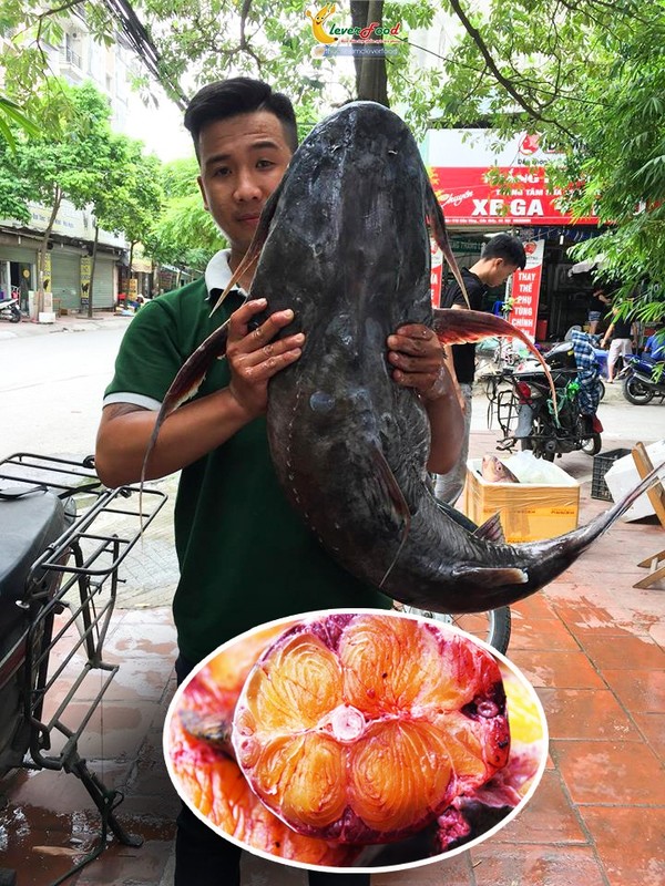 Diem danh nhung loai ca “tien vua” tru danh nuoc Viet-Hinh-14