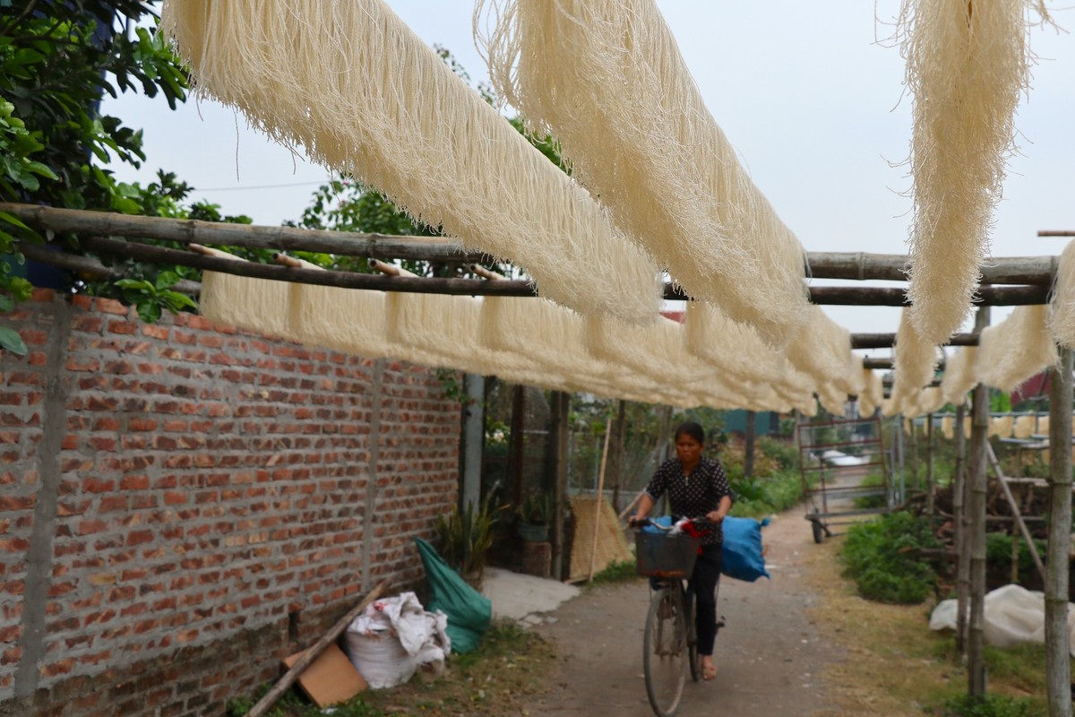 Lang mien dong Duong Lieu 'chay dua' voi don hang Tet-Hinh-2