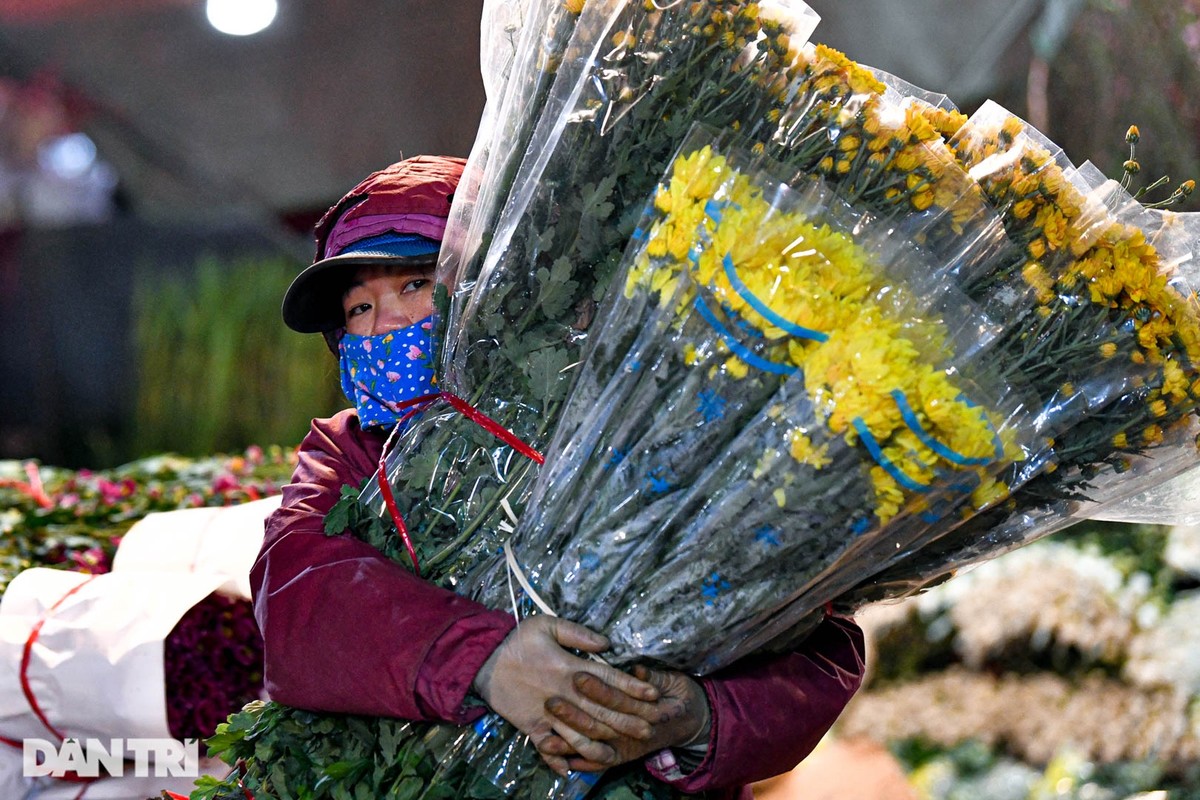 Gia ret, cho hoa lon nhat o Ha Noi hop xuyen dem-Hinh-2