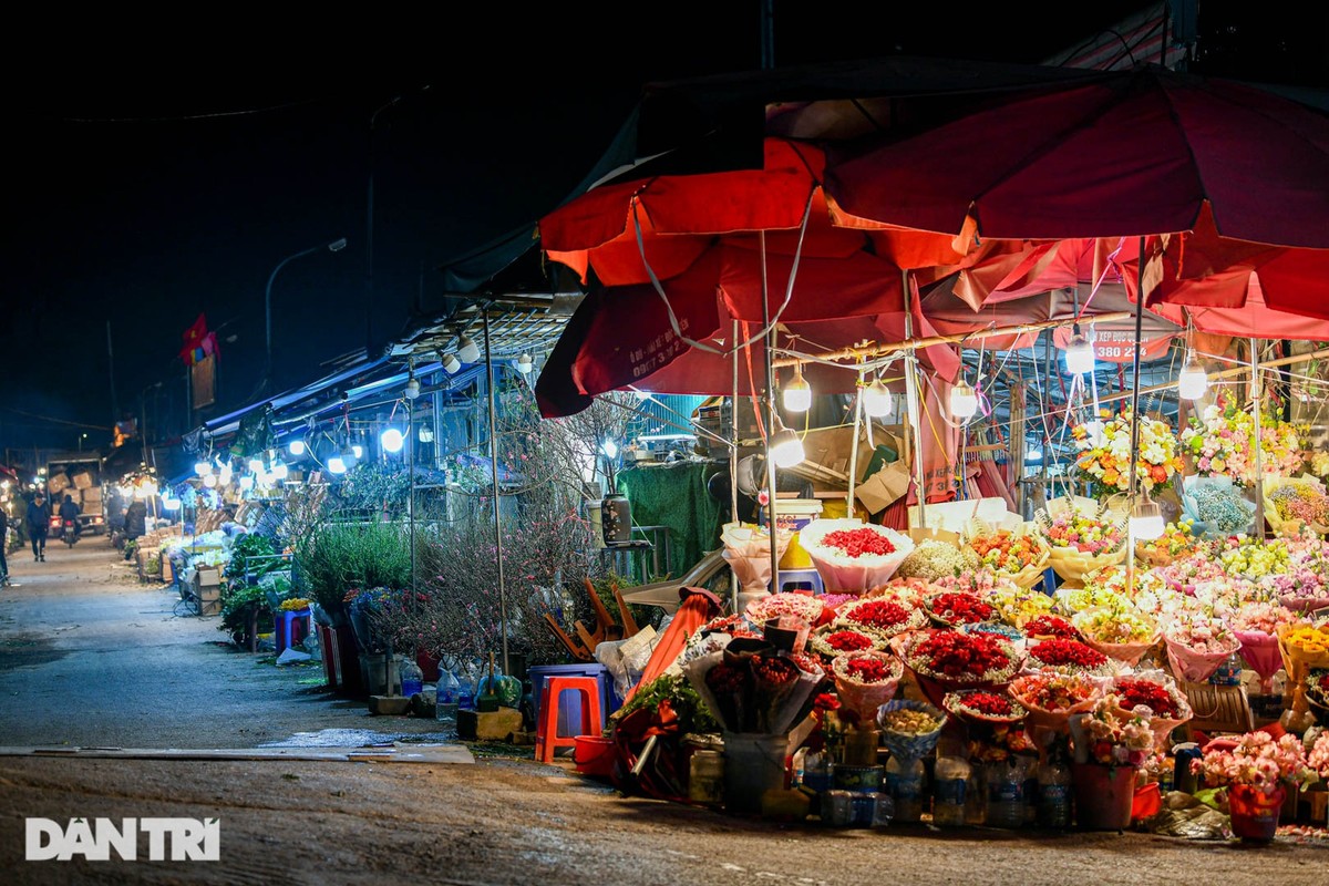 Gia ret, cho hoa lon nhat o Ha Noi hop xuyen dem-Hinh-6