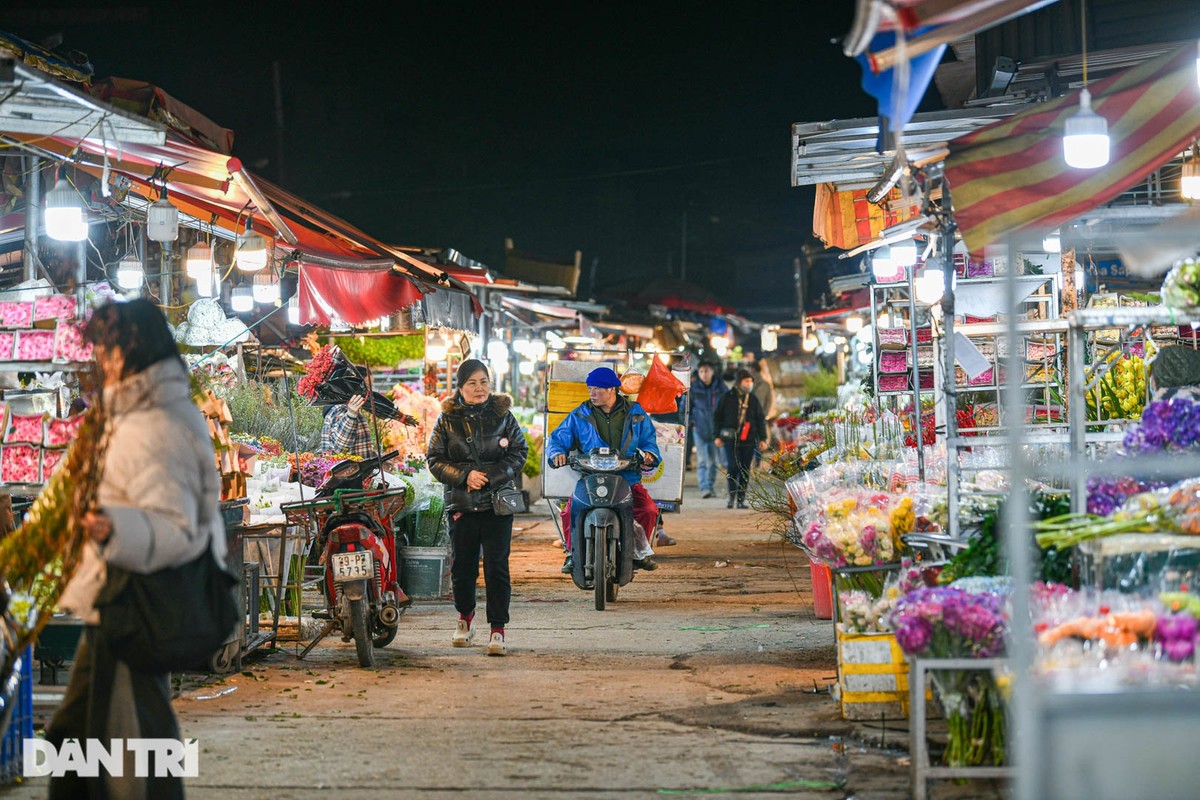 Gia ret, cho hoa lon nhat o Ha Noi hop xuyen dem-Hinh-8