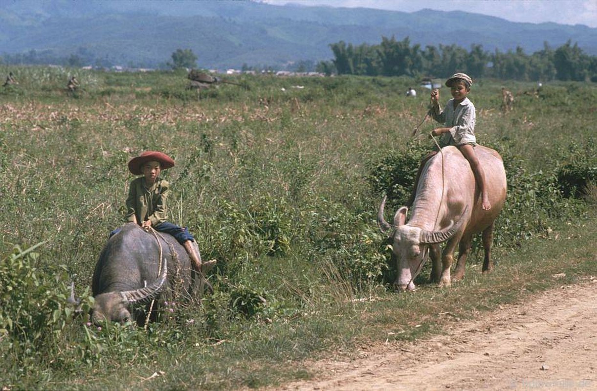 View - 	Loạt ảnh cuộc sống thanh bình ở Điện Biên Phủ năm 1992