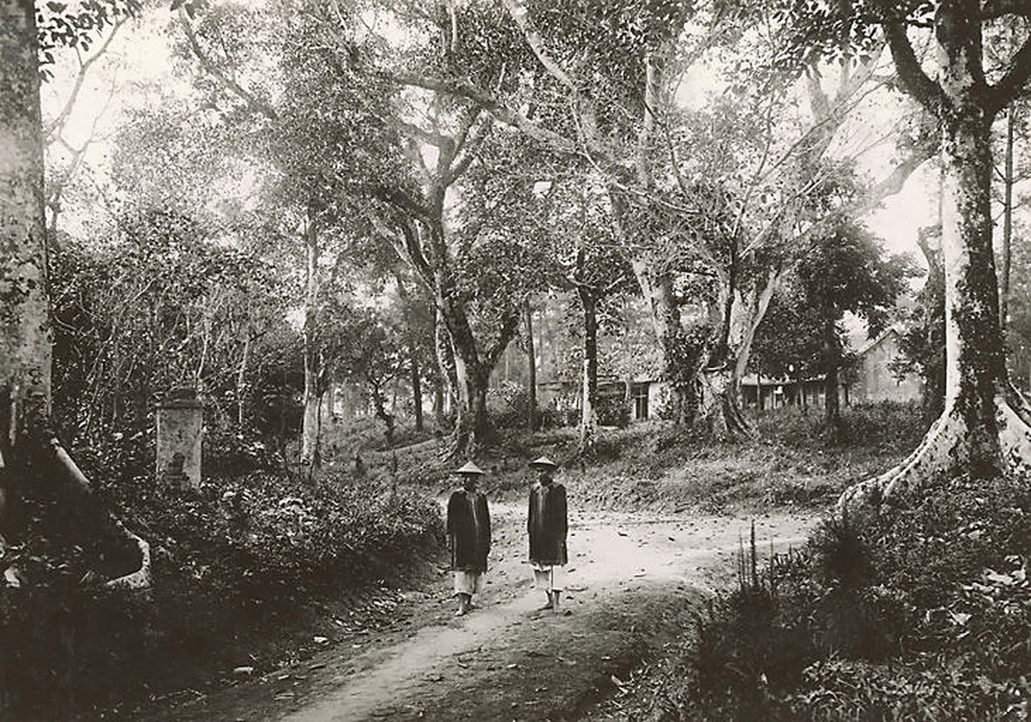 View - 	Hình độc về lăng tẩm các vị vua nhà Nguyễn ở Huế năm 1919 1926