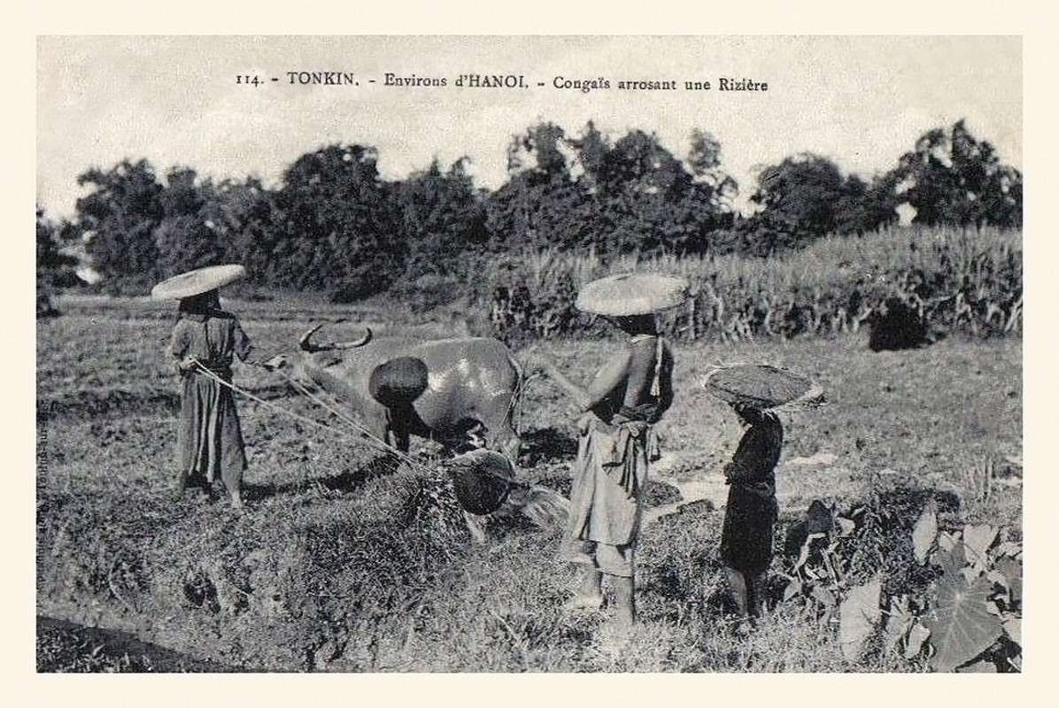 Anh nguoi Ha Noi xua tren nhung buu thiep co quy hiem-Hinh-7