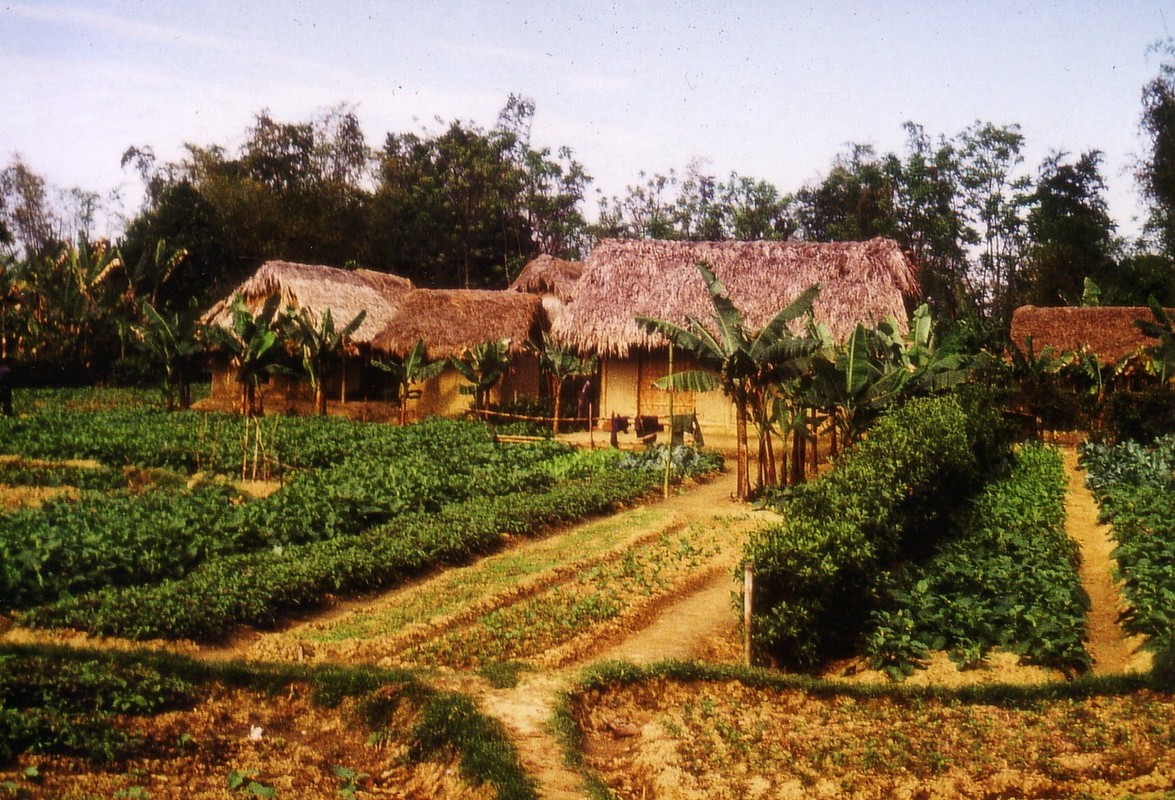 View - 	Ảnh đầy hoài niệm về nông thôn miền Bắc năm 1973 1974