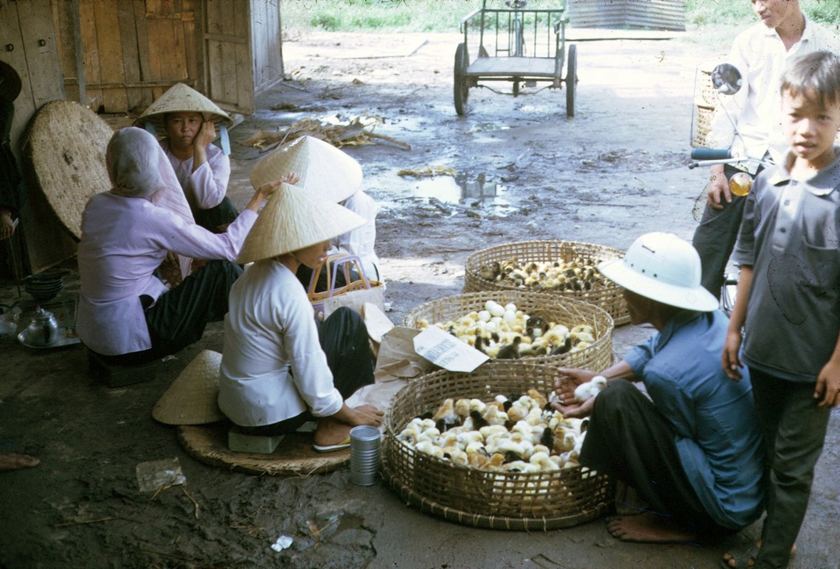 Loat anh cuc quy ve Vung Tau thap nien 1960-1970-Hinh-9