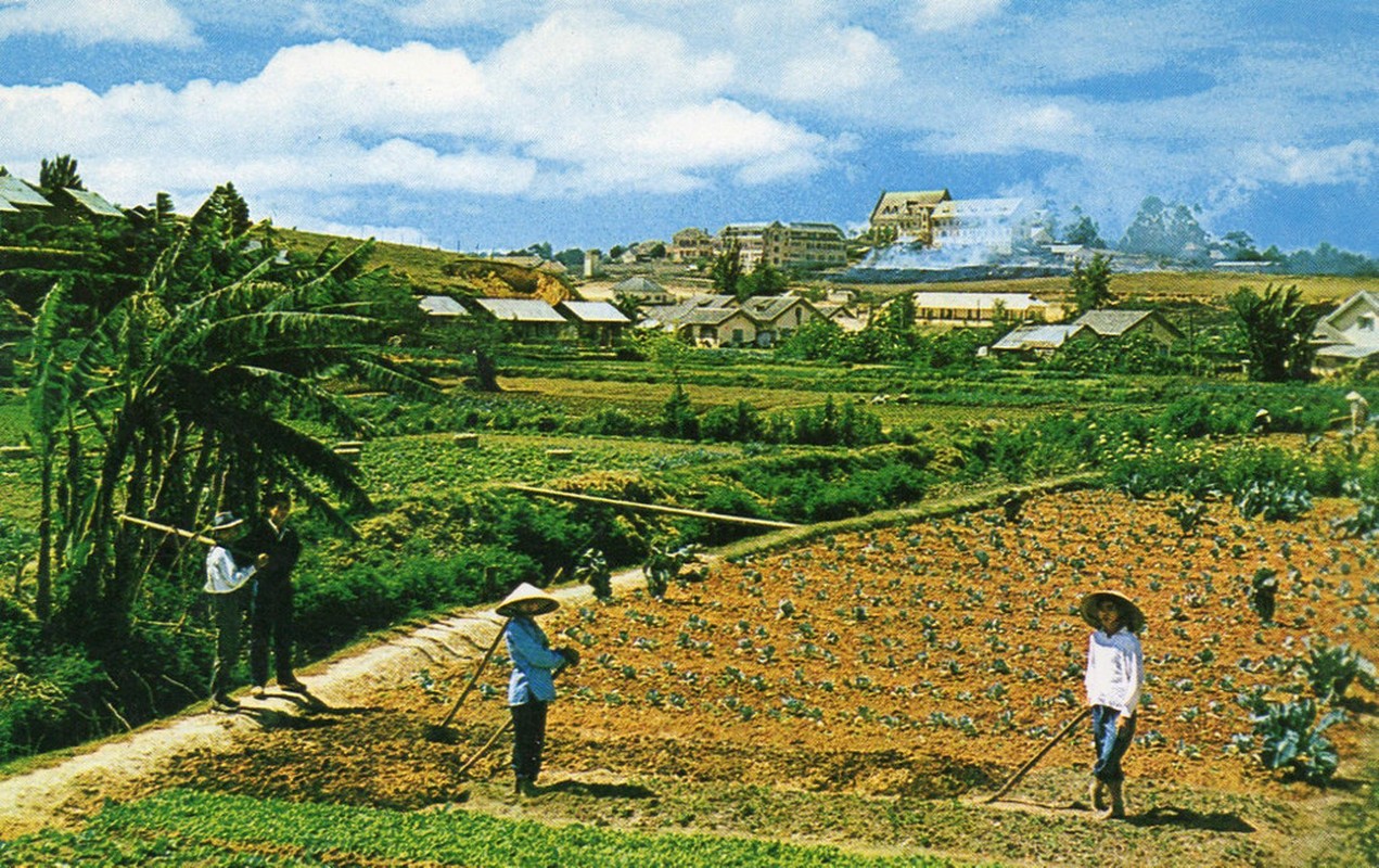 View - 	Loạt ảnh quý như vàng về Đà Lạt những năm 1960 1970