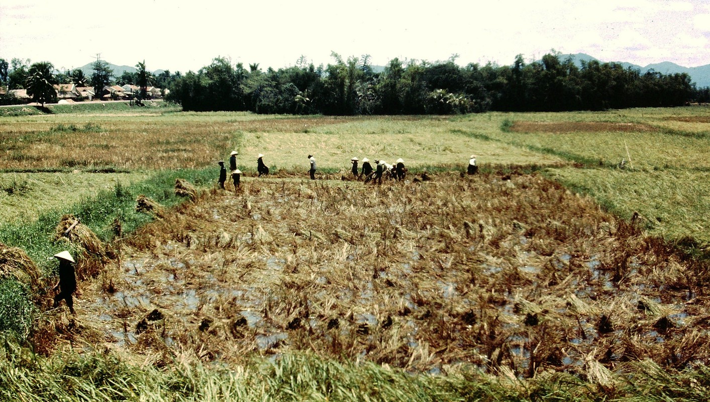 View - 	Bình Định năm 1969 cực sống động qua ảnh của Ernest Gaudreau