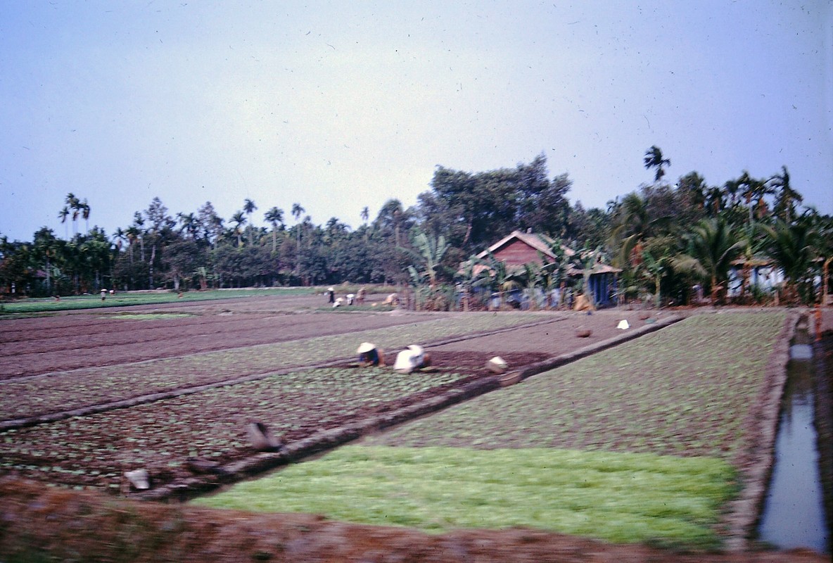 Binh Duong nam 1968: Song dong qua ong kinh nguoi My-Hinh-5