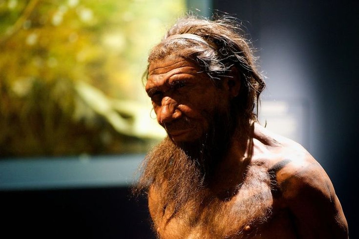 Dieu gi xay ra neu loai nguoi Neanderthal ton tai den ngay nay?-Hinh-7