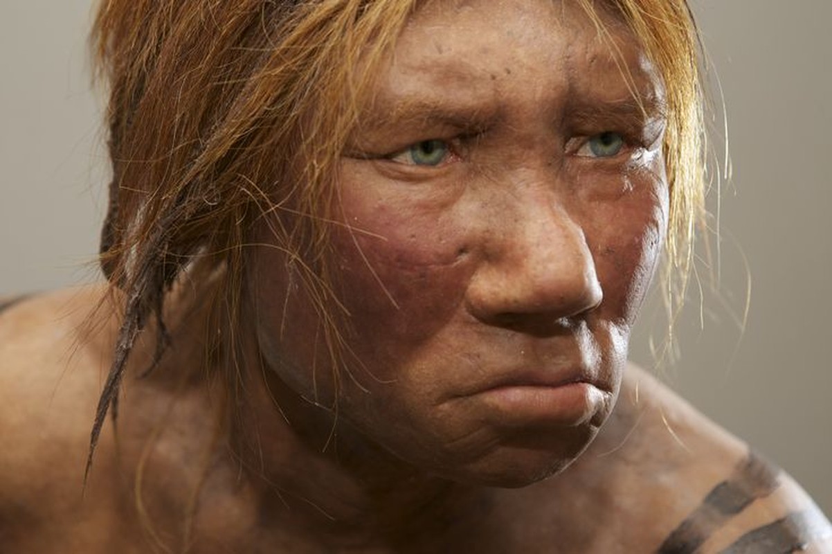 Nguoi Neanderthal bi tuyet chung do 'yeu' nguoi hien dai?-Hinh-11