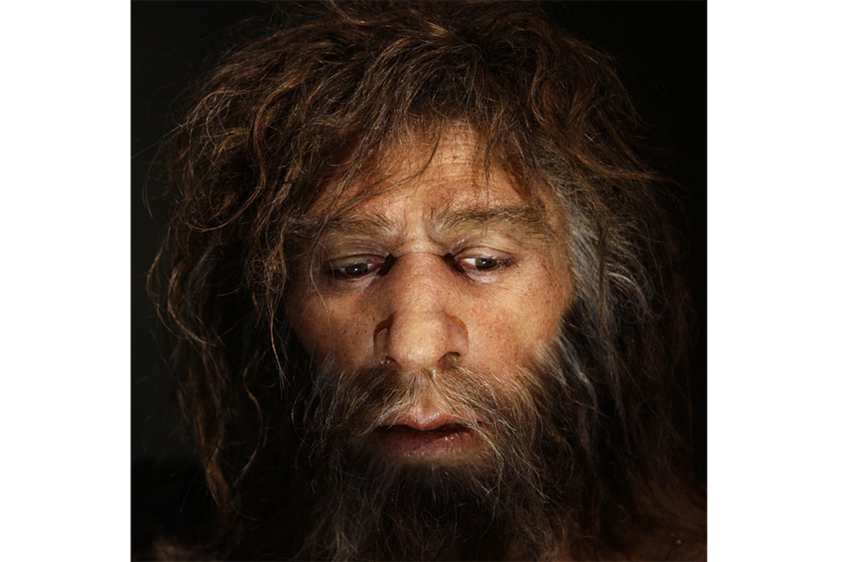 Nguoi Neanderthal bi tuyet chung do 'yeu' nguoi hien dai?-Hinh-7