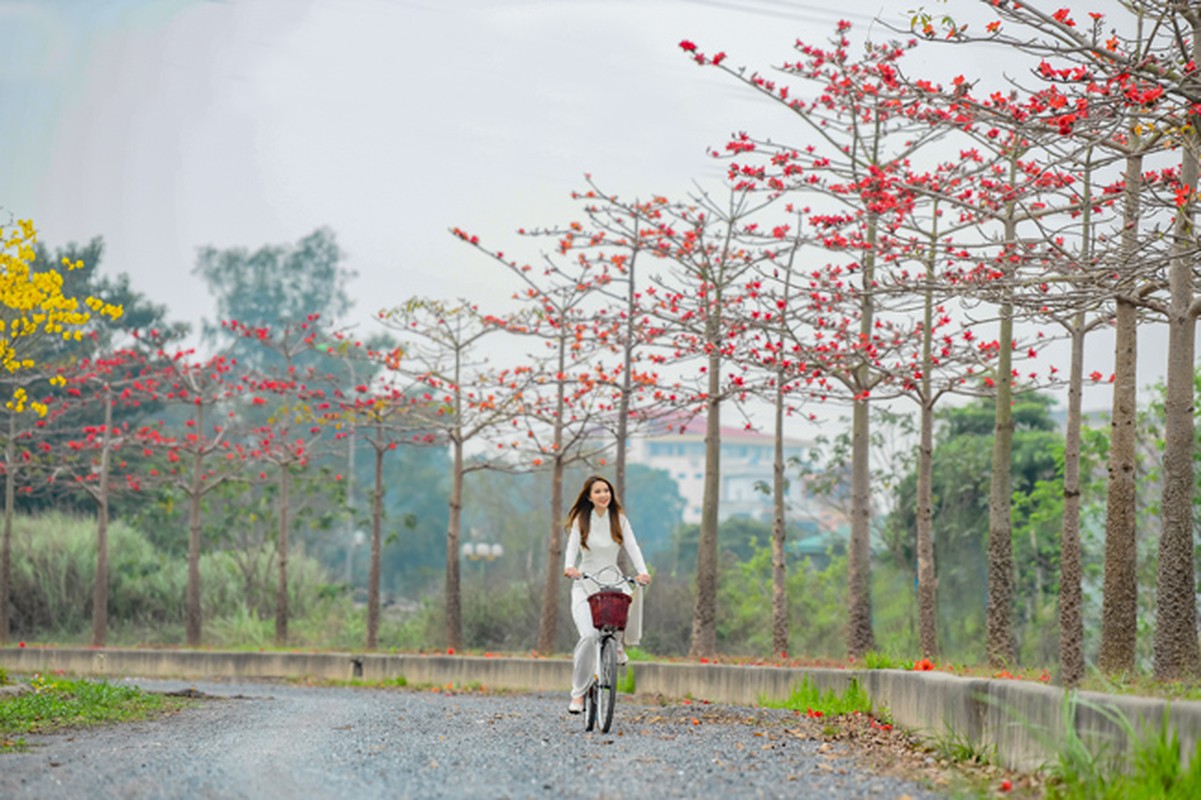 Thieu nu hoa nang tho tren con duong hoa dep tua troi Au giua long Ha Noi-Hinh-11