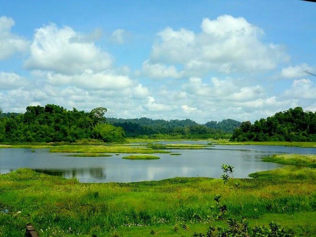 Vuon quoc gia lon nhat mien Nam, co nhieu bo tot va ca sau hung du-Hinh-4