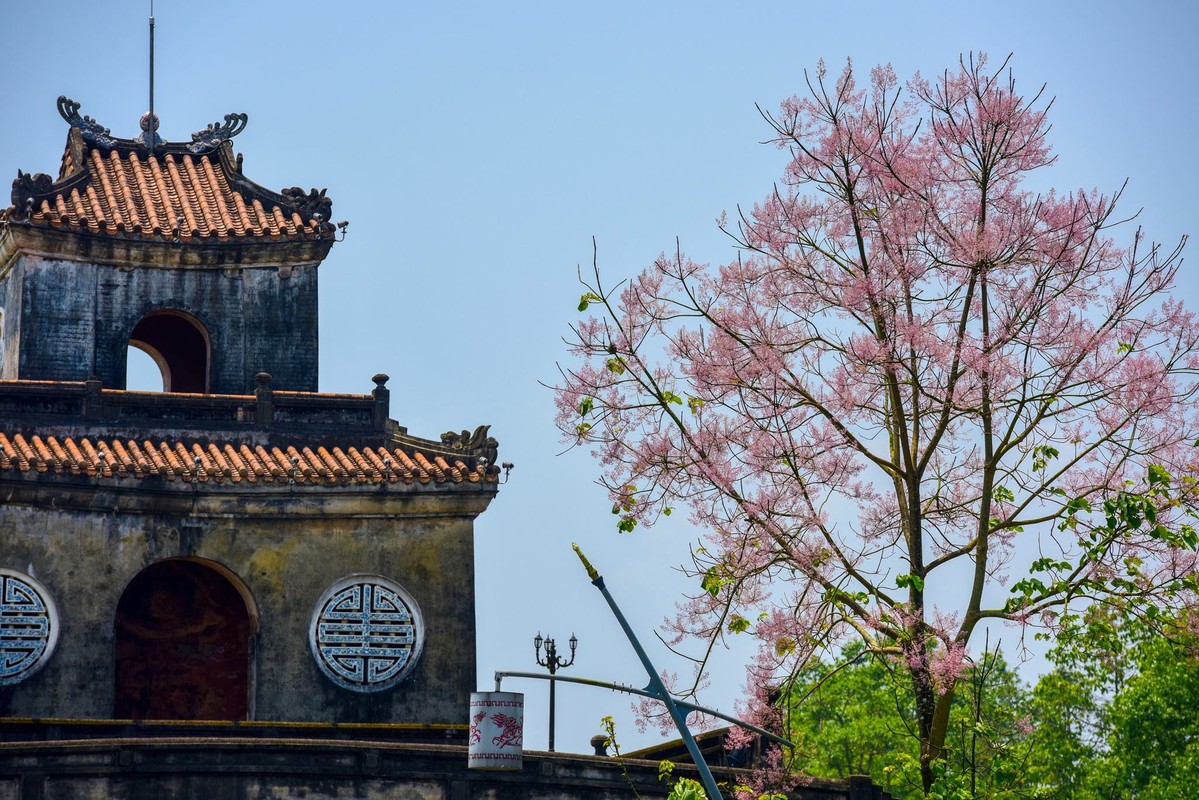 Loai vuong gia chi hoa va di san noi tieng trong Hoang cung Hue