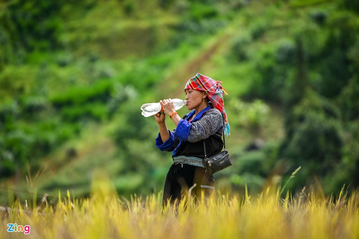 Kham pha ruong bac thang Mu Cang Chai dep me hon-Hinh-6