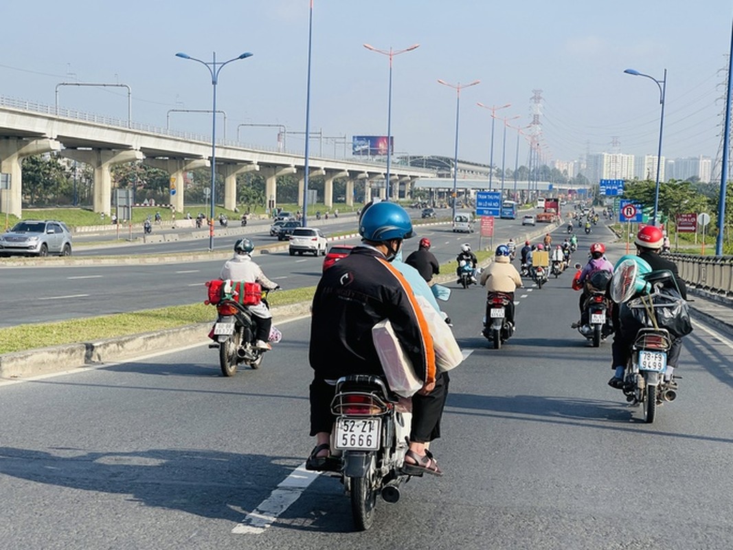 Bat ngo voi duong sa TP HCM ngay can Tet-Hinh-4