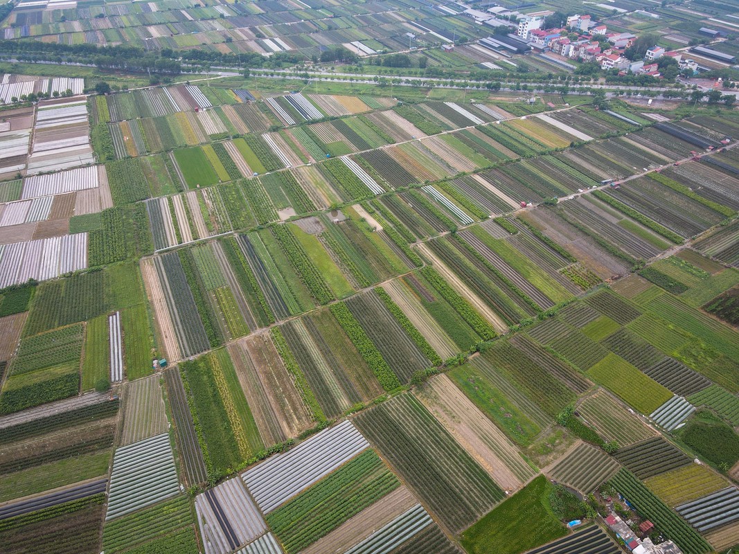 Hien trang khu dat hai du an do thi bi thu hoi o Ha Noi-Hinh-4