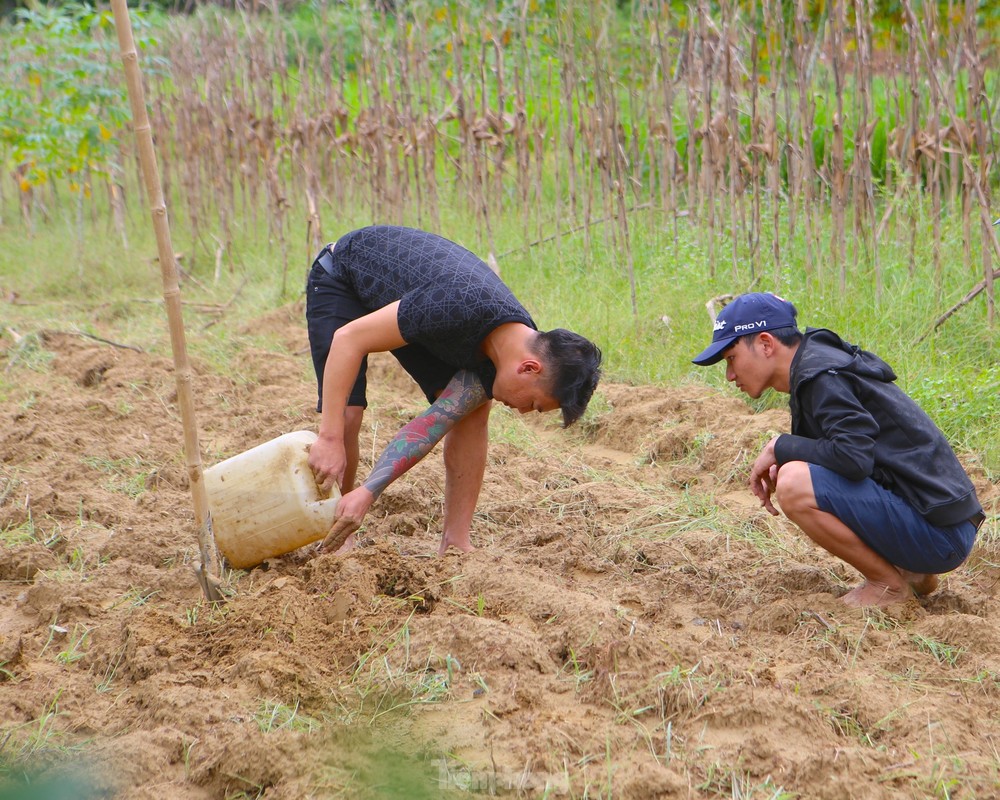 Do xo di san loai con trung duoi dat o Ha Tinh-Hinh-9