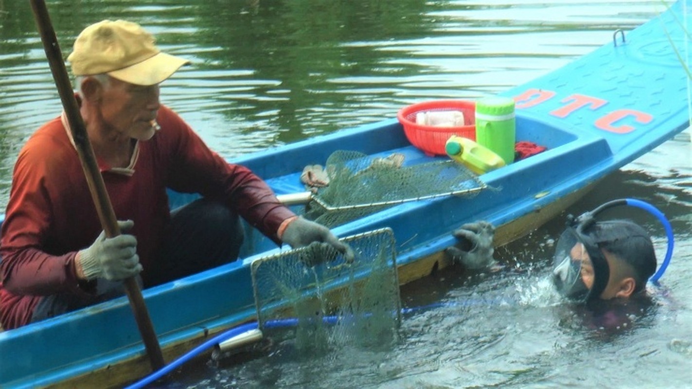 Ngam minh hang gio bat con hai manh duoi song-Hinh-2