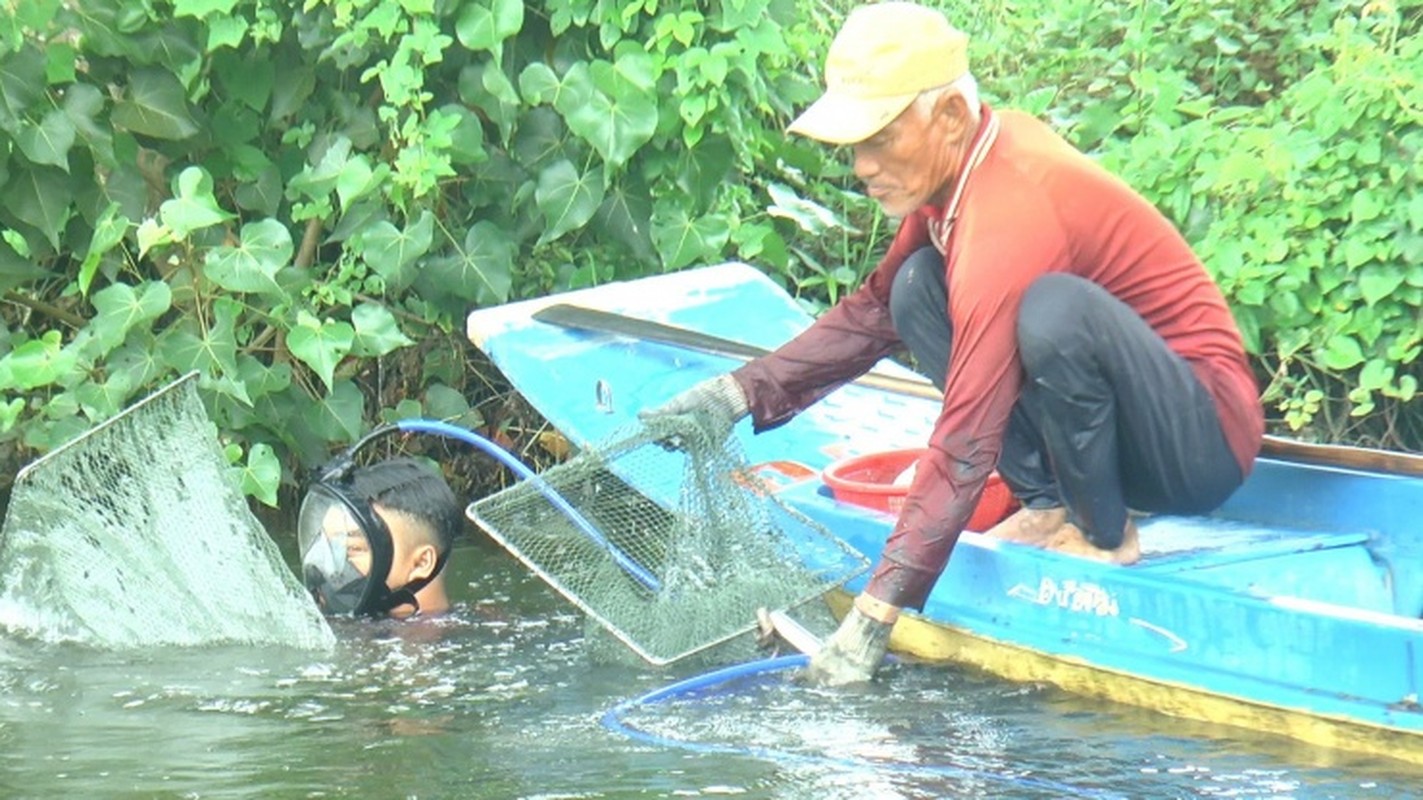 Ngam minh hang gio bat con hai manh duoi song-Hinh-3