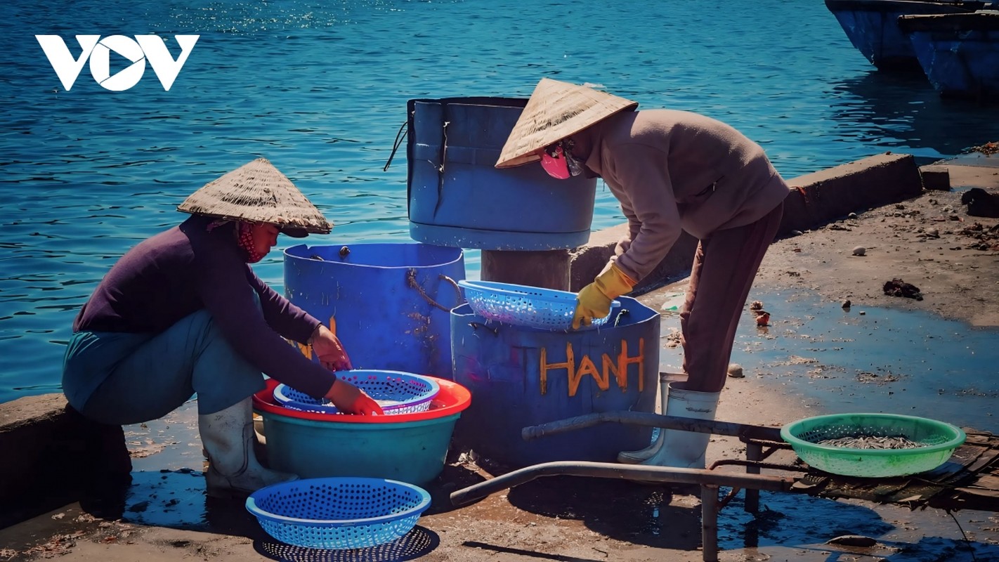 View - 	Khám phá Sa Huỳnh nơi có bãi biển đẹp nhất Quảng Ngãi