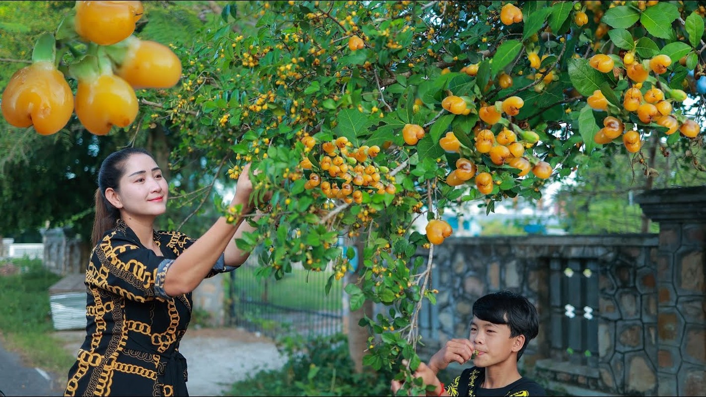 View - 	Cây cảnh kích hoạt tài lộc đắt đỏ bậc nhất Việt Nam