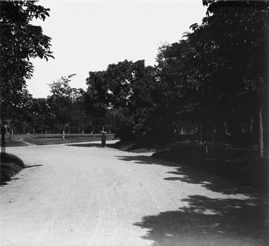 Anh hiem ve cong vien lau doi nhat Ha Noi thuo so khai-Hinh-6