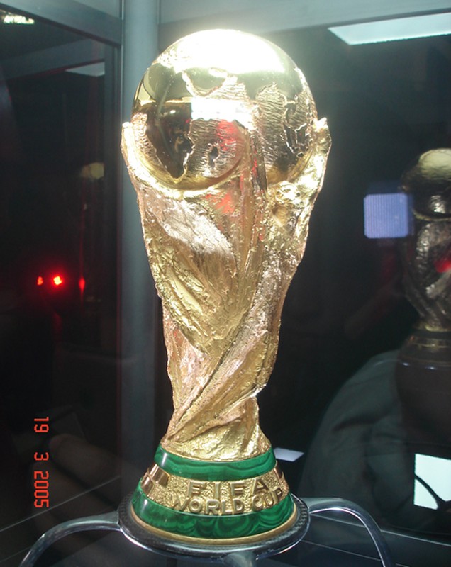 Dan Thu do xep hang dai dien kien Cup vang World Cup-Hinh-15
