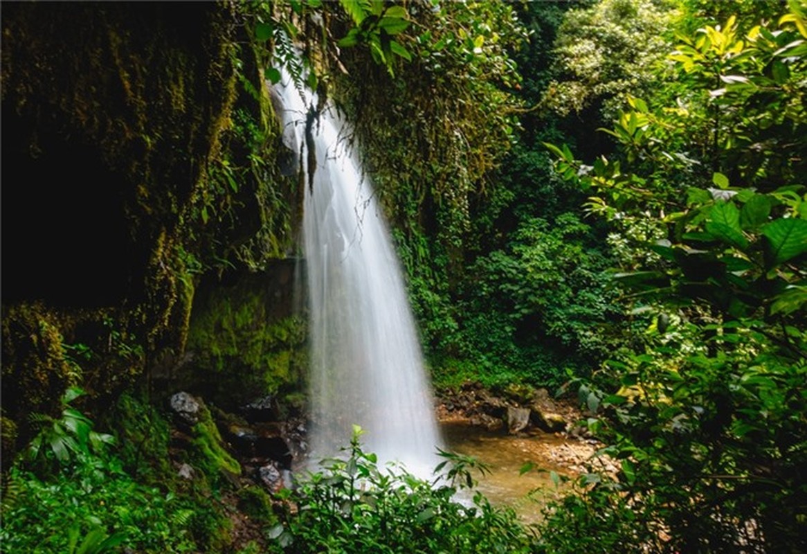 Kham pha nhung mien nhiet doi xanh tuoi tren khap hanh tinh-Hinh-8