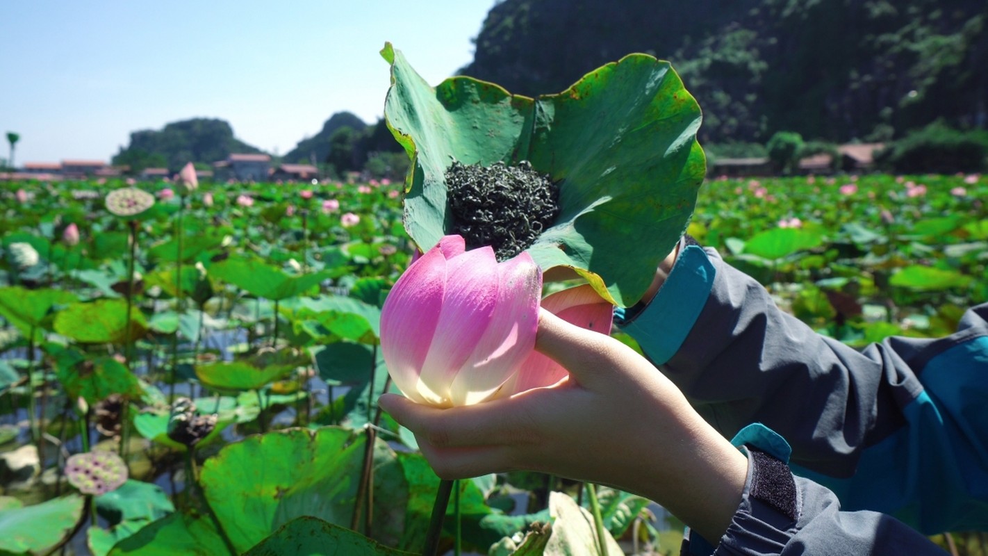 Cac mon che tu sen o Ninh Binh-Hinh-5