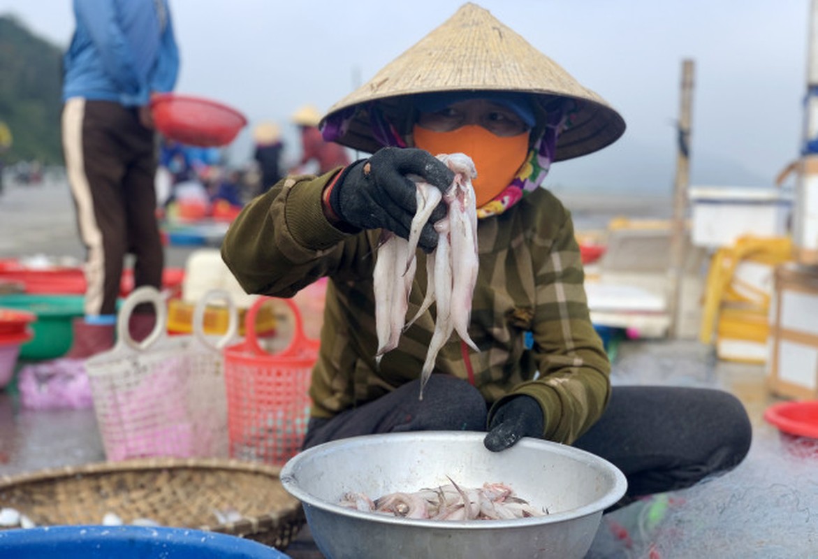 Ca chao thanh dac san ngay lanh, ngu dan trung dam dau nam-Hinh-8