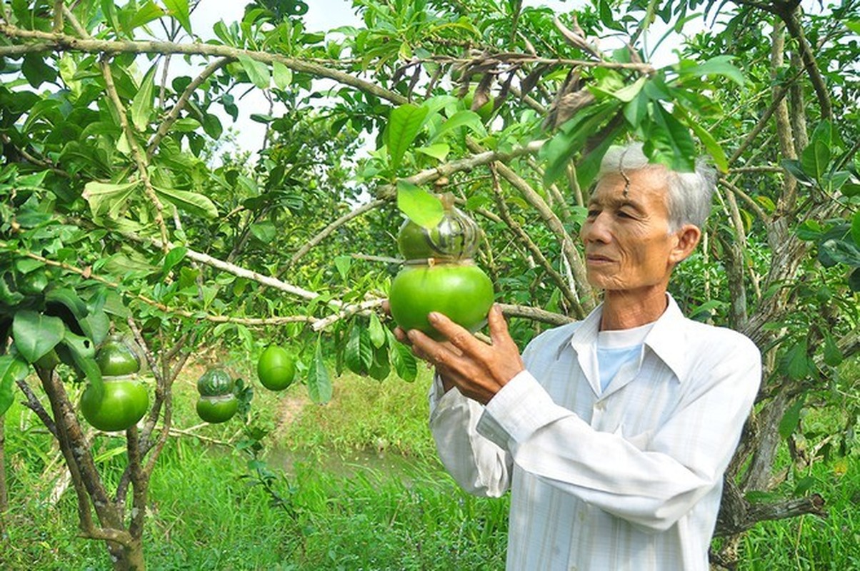 Dao tien ho lo doc nhat vo nhi o Hau Giang-Hinh-2