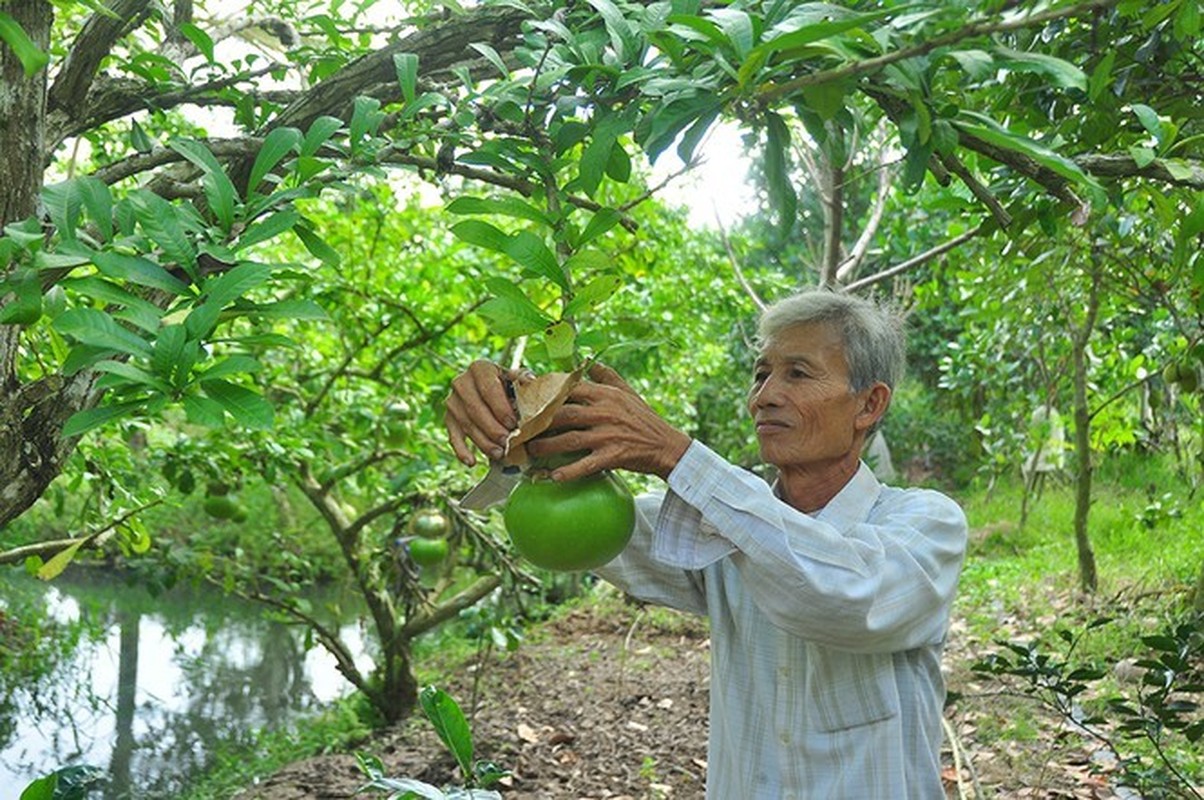 Dao tien ho lo doc nhat vo nhi o Hau Giang-Hinh-3