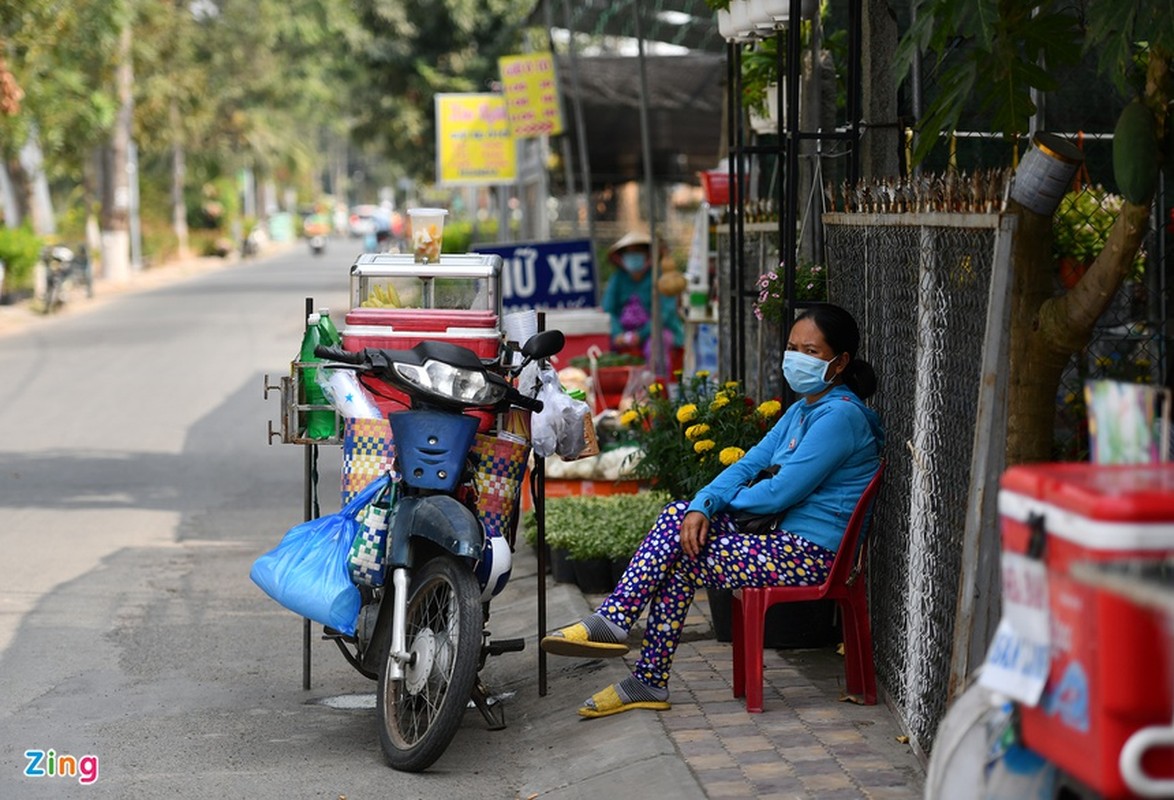 Lang hoa lon nhat mien Tay vang ve ngay giap Tet-Hinh-9