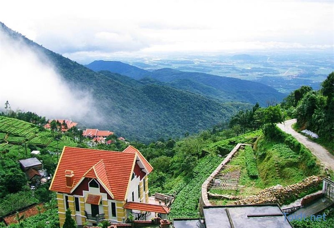 Tam Dao - “thien duong du lich” ngay canh Ha Noi-Hinh-12