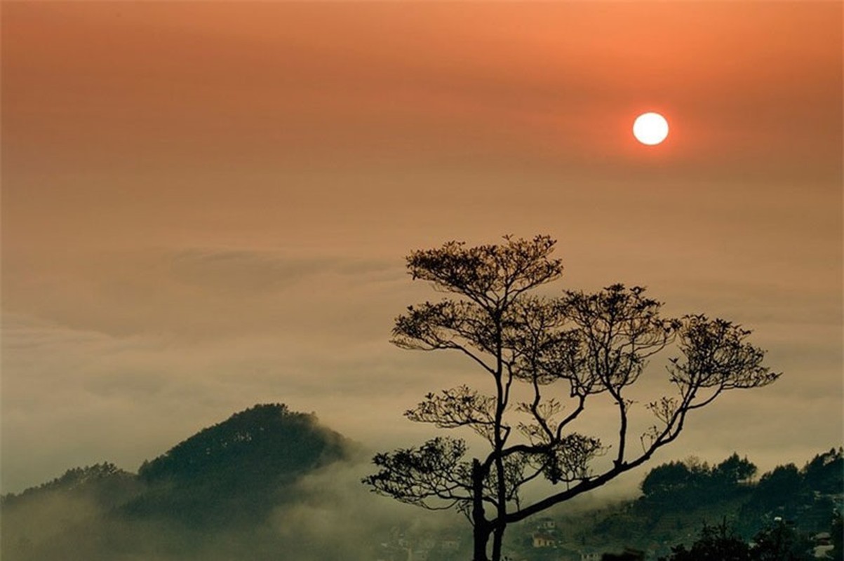 Tam Dao - “thien duong du lich” ngay canh Ha Noi-Hinh-7