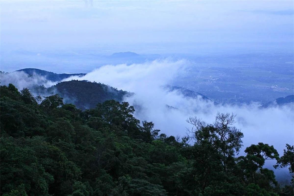 Tam Dao - “thien duong du lich” ngay canh Ha Noi-Hinh-9