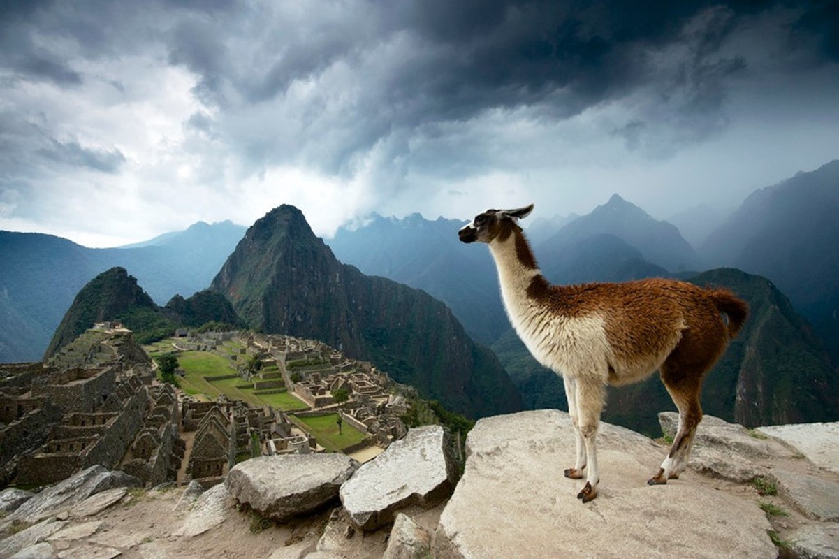 Giai ma cach nguoi Inca xay thanh Machu Picchu bang da khong dung vua-Hinh-9