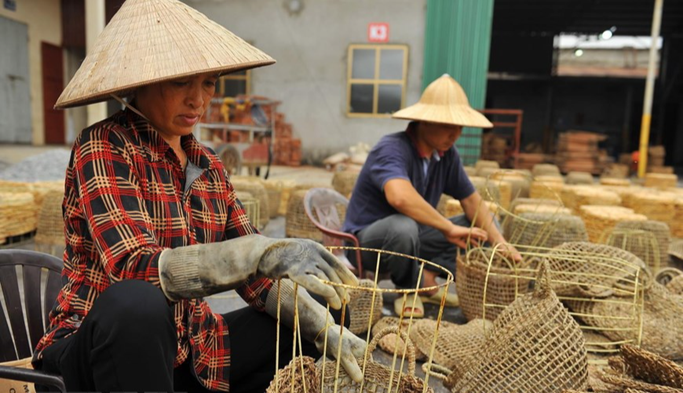 Beo tay tu thuc an cho gia suc “bien” thanh hang xuat ngoai dat gia