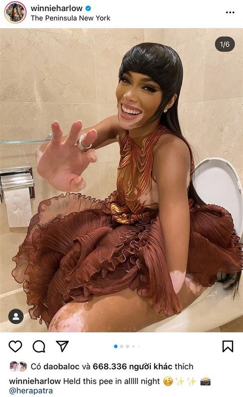 Sao Met Gala bi chup trom khi dang di toilet: Rihanna dau teu?-Hinh-3
